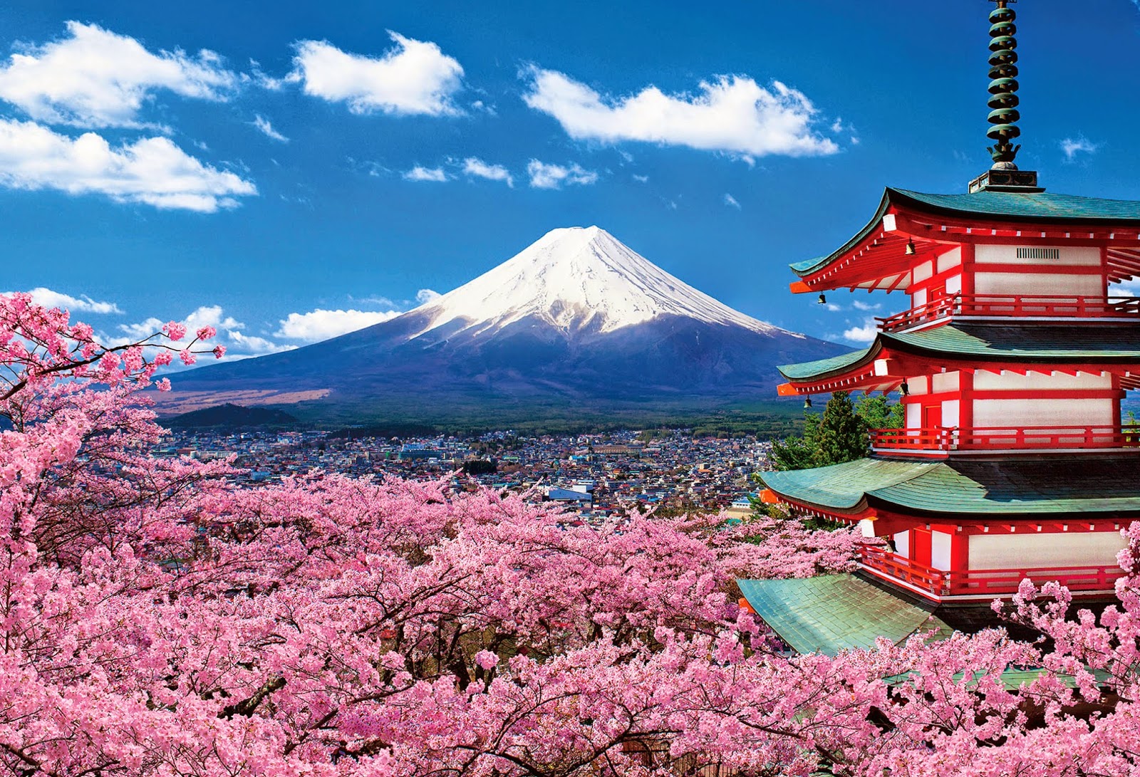Check in 3 điểm đến để có ngay bộ ảnh “ngôn tình” khi du lịch Nhật Bản -  Tour mới lạ